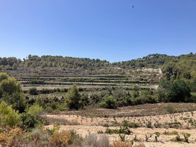 Finca/Casa Rural en venta en Teulada, Alicante Costa Blanca