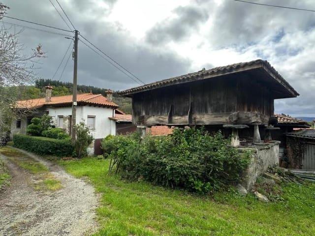Finca/Casa Rural en venta en Tineo, Asturias