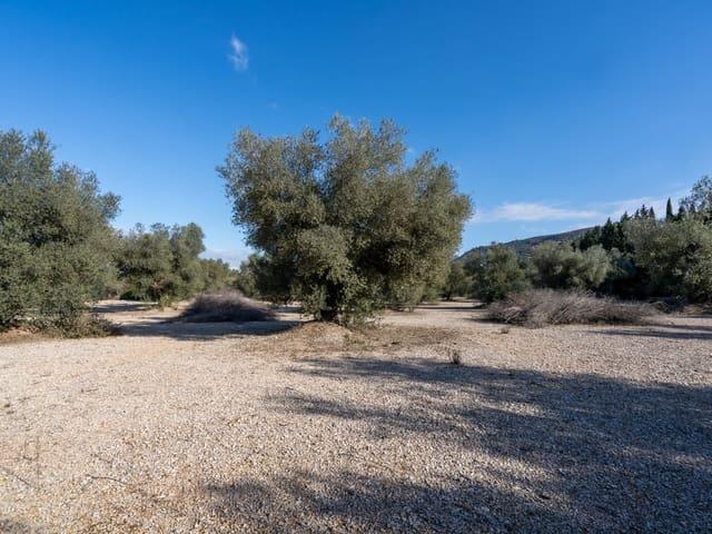 Finca/Casa Rural en venta en Ulldecona, Tarragona Costa Dorada