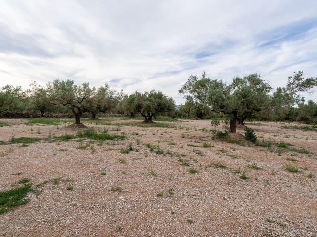 Finca/Casa Rural en venta en Ulldecona, Tarragona Costa Dorada