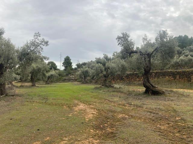 Finca/Casa Rural en venta en Valderrobres, Teruel