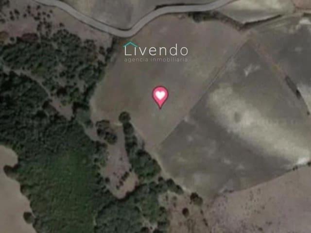 Finca/Casa Rural en venta en Vejer de la Frontera, Cádiz Costa de la Luz