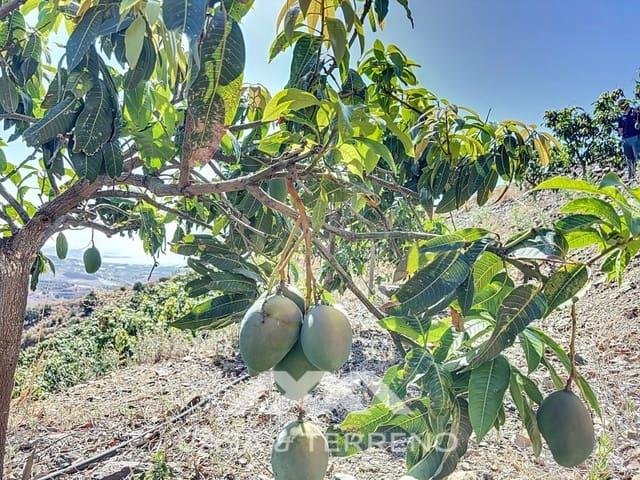 Finca/Casa Rural en venta en Vélez Málaga, Málaga Costa del Sol