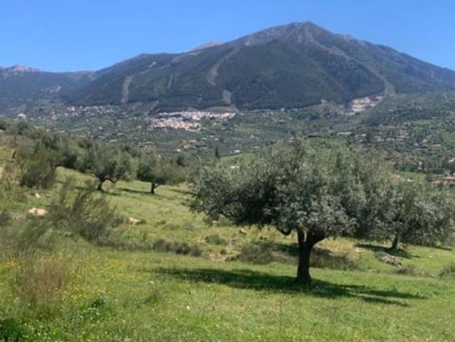 Finca/Casa Rural en venta en Venta Baja, Málaga