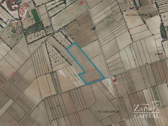 Finca/Casa Rural en venta en Vilafranca de Bonany, Mallorca