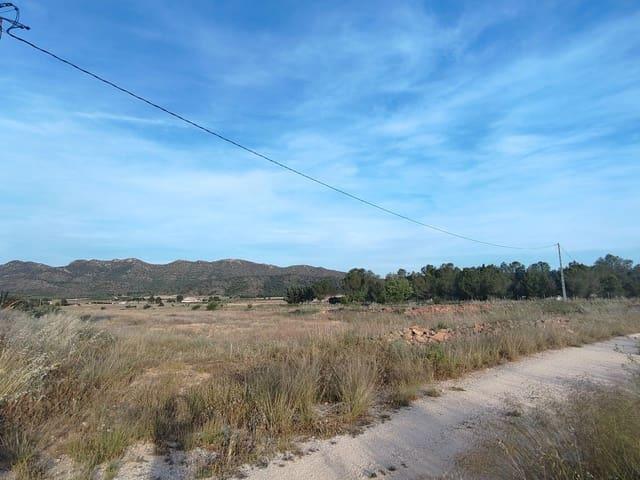 Finca/Casa Rural en venta en Yecla, Murcia