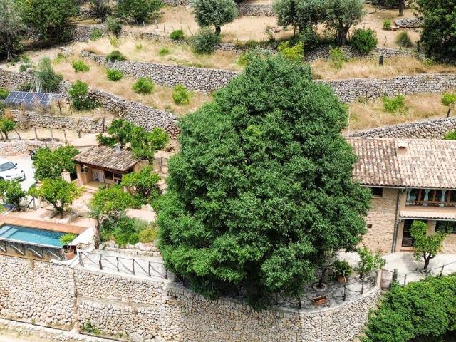Finca/Country House for rent in Fornalutx, Mallorca