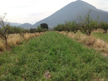 Finca/Rancho en Venta