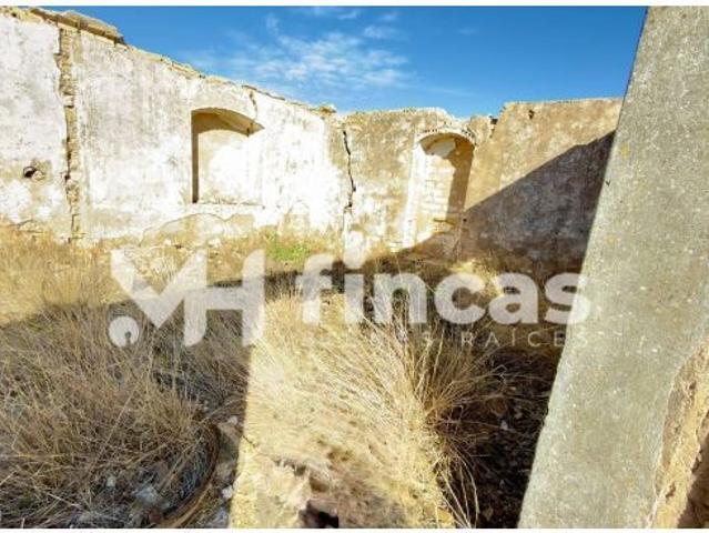 Fincas agrícolas en El Palmar de Troya y Utrera – Tierra calma de secano con PAC y alta rentabilidad