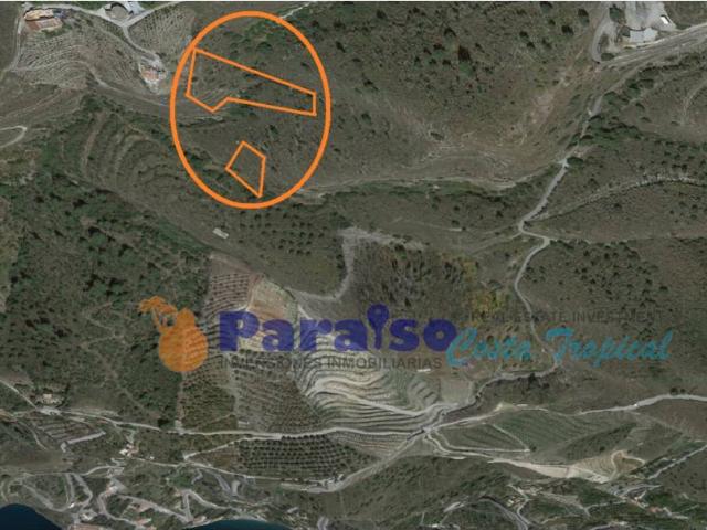 Dos fincas rústicas con excelente terreno y acceso en Almuñécar Granada