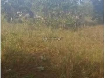 Fincas en Panamá en Mariatos | venta | Finca en Torio, Veraguas, 25 hectáreas: USD 13000. 00