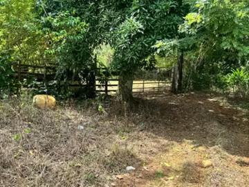Fincas en Panamá en Mendoza | venta | 04 Finca Campestre y Agropecuaria en Venta en La Chorrera | 12,918.23m² en Mendoza: USD 159000.00