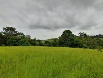 Fincas en Panamá en Mendoza | venta | de Finca en Chorrera, La Mendoza, 13 hectáreas: USD 450000.00