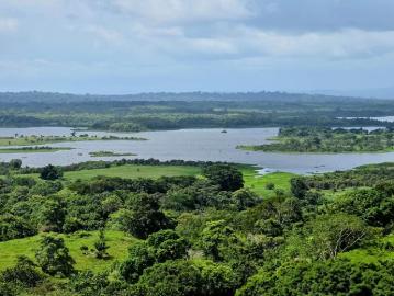 Fincas en panamá en mendoza | venta | lago gatún area lotes financiamiento directo hasta 12 años sin abono y interes: usd 54000.00