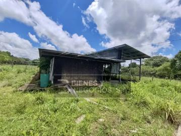 Fincas en Panamá en Bugaba | venta | Finca en Chiriqui, Bugaba, 259 hectáreas en Santo Domingo: USD 11000.00