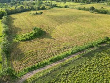 Fincas en Panamá en Bugaba | venta | Finca en Chiriqui, Bugaba, 6.1 hectáreas en La Estrella: USD 185000.00