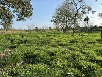 Fincas en Panamá en Bugaba | venta | Finca en Chiriqui, El Santo, Bugaba 28 hectáreas para Lecheria: USD 600000.00