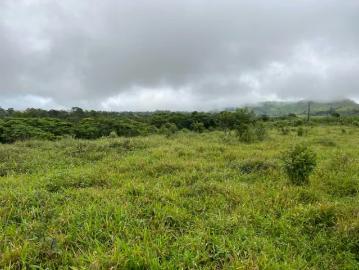 Fincas en Panamá en Boquerón | venta | Finca en Chiriqui, Boqueron, Paraiso 61 hectáreas: USD 950000.00
