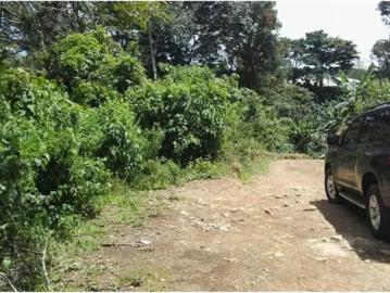 Fincas en panamá en boquete | venta | finca / 1 hectarea / palmira abajo / boquete / chiriqui: usd 150000.00