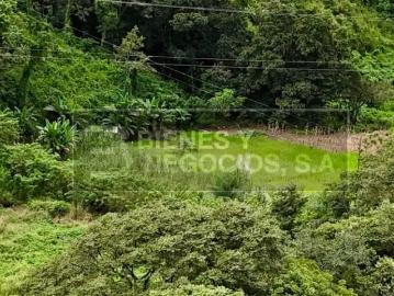 Fincas en Panamá en Caldera | venta | Finca en Chiriqui, Caldera 10.8 Hectáreas, USD 12000.00