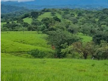 Fincas en Panamá en Chiriquí Montañas | venta | Finca San Lorenzo, Chiriquí RSdeR: usd 2346. 00