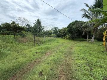 Fincas en Panamá en Dolega | venta | de finca en Balita, Tinajas, Chiriquí: USD 150000.00