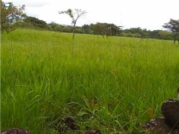 Fincas en Panamá en Dolega | venta | de finca en Dolega Chiriqui: USD 235000.00