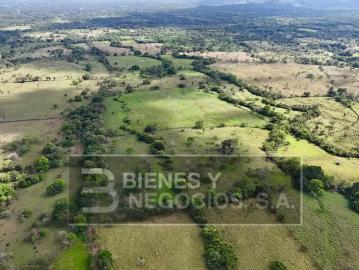 Fincas en Panamá en Dolega | venta | Finca en Chiriqui, Dolega, 119.6 hectáreas en Rovira: USD 12000.00