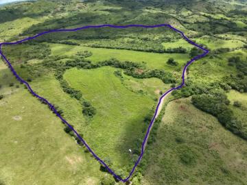 Fincas en Panamá en Herrera Provincia | venta | de Finca Agricola Ideal para Ganadería y otros cultivos en Ocú: USD 125000.00