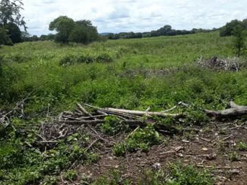Fincas en panamá en herrera provincia | venta | $165,000 en herrera se venden 12 hectareas a 5 minutos de la interamericana jb: usd 165000.00