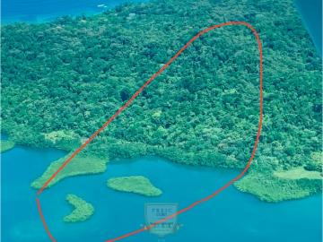 Fincas en Panamá en Isla Bastimentos | venta | Vendo finca en Bocas del Toro Isla Bastimento L. T: usd 630000.00