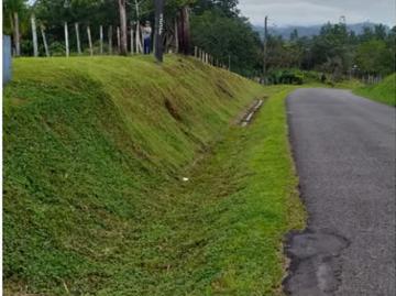 Fincas en Panamá en Penonomé | venta |: Finca de 6 hectareas en Tambo de Penonomé: USD 199000.00
