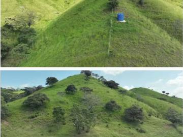 Fincas en Panamá en Pesé | venta | FINCA DE 98 HECTÁREAS + 7,565.05 m2, en las cabras de pesé, provincia de herrera: usd 1250. 00