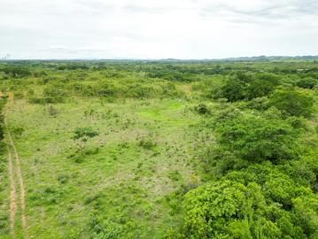 Fincas en Panamá en San Francisco | venta | de Finca en San Francisco, Veraguas, 200 hectáreas: USD 1300. 00