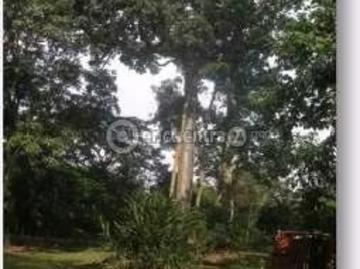 Fincas en Panamá en Toabré | venta | Finca en Penonomé, Coclé, 11 hectáreas: USD 325000.00