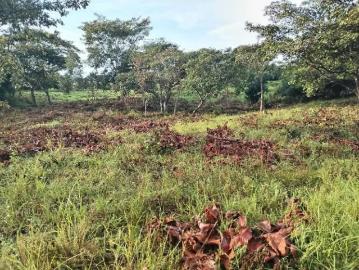Fincas en panamá en veraguas provincia | venta | se vende finca con vista al mar – pixvae, veraguas: usd 54000.00