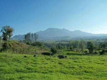 Fincas en Panamá en Volcán | venta | Finca en Cuesta de Piedra 10 Hectáreas $650,000: USD 650000.00