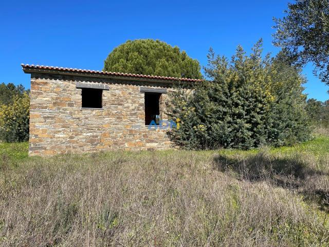 Fincas Rusticas 3 quarto, Castelo Branco Castelo Branco DS62514392