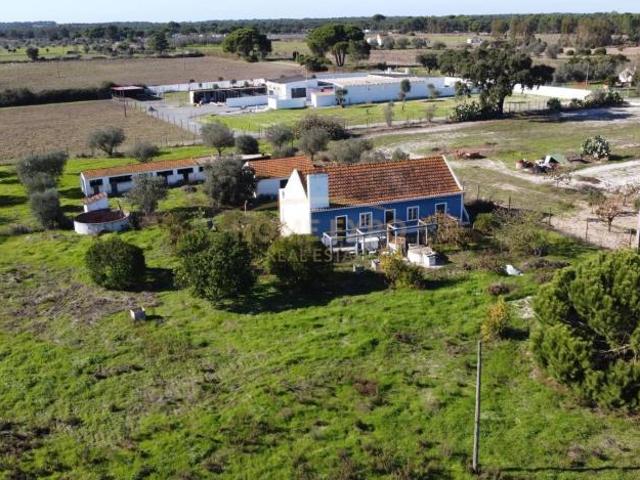 Fincas Rusticas 3 quarto, Grândola Setúbal DS97254981