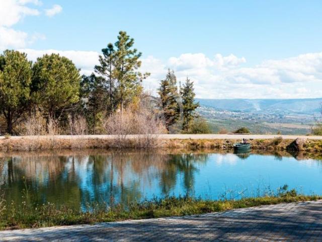 Fincas Rusticas 3 quarto, Guarda Guarda DS100201904