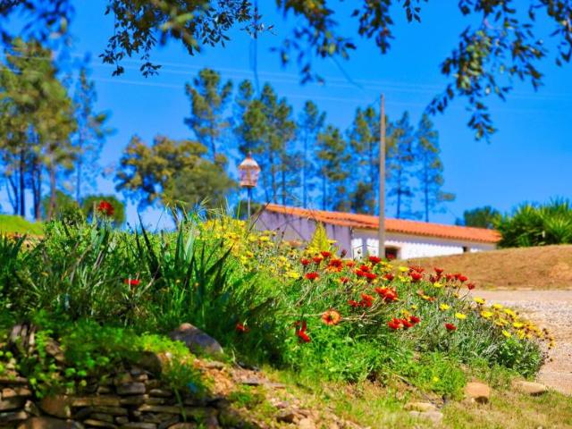 Fincas Rusticas 3 quarto, Monchique Algarve DS93655061