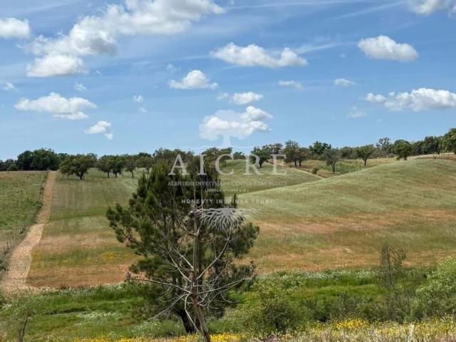 Fincas Rusticas 3 quarto, Santiago do Cacém Setúbal DS101988434