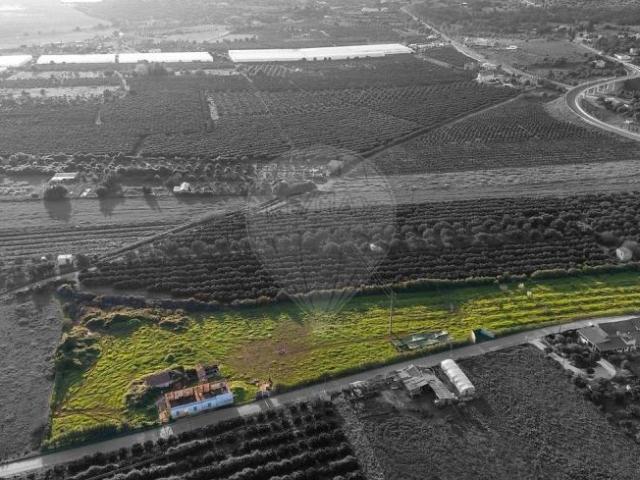 Fincas Rusticas 3 quarto, Silves Algarve DS102053687