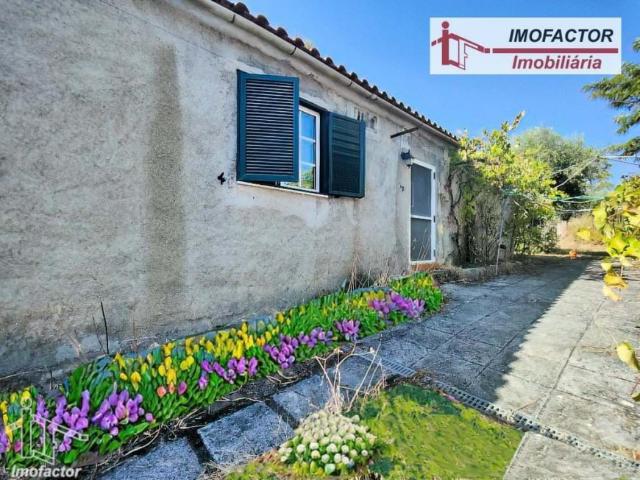 Fincas Rusticas 1 quarto, Castelo Branco Castelo Branco DLS95388157