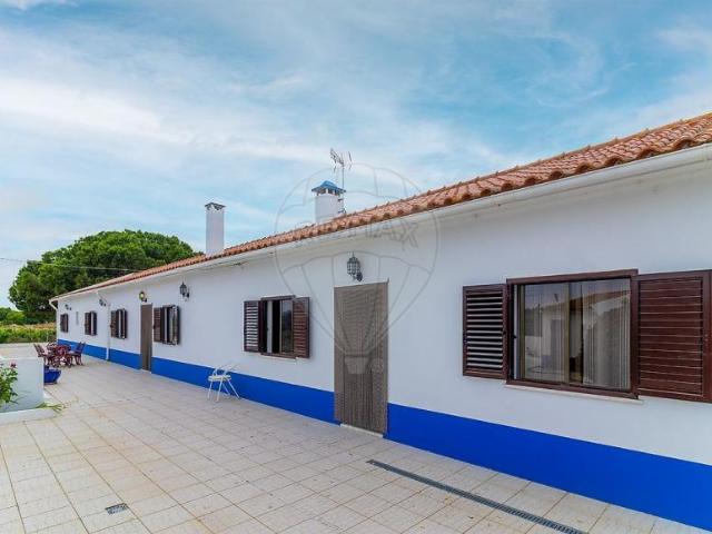 Fincas Rusticas 1 quarto, Grândola Setúbal DS98601338