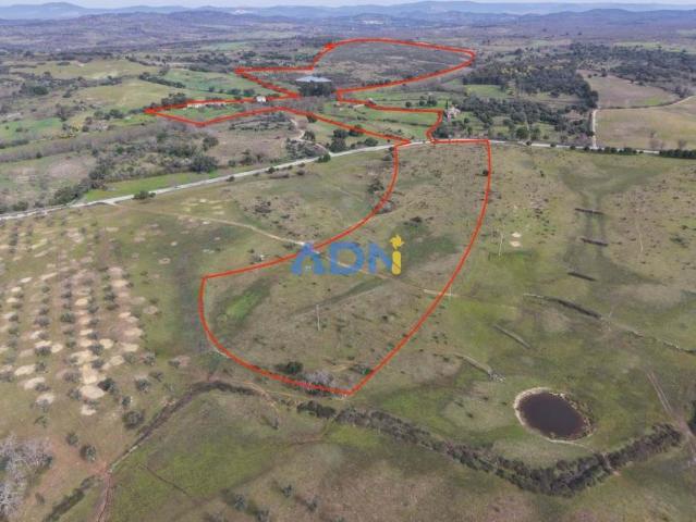 Fincas Rusticas 1 quarto, Idanha Castelo Branco DLS100767113