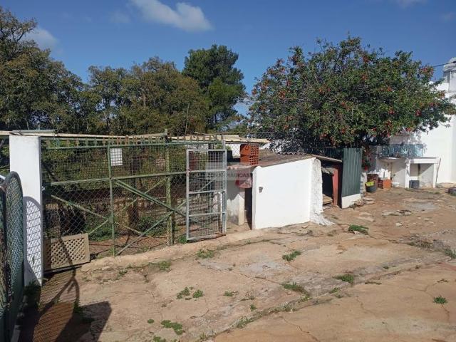 Fincas Rusticas 1 quarto, Lagos Algarve DLS101151755