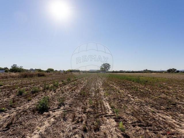 Fincas Rusticas 2 quarto, Moita Setúbal DS101405358