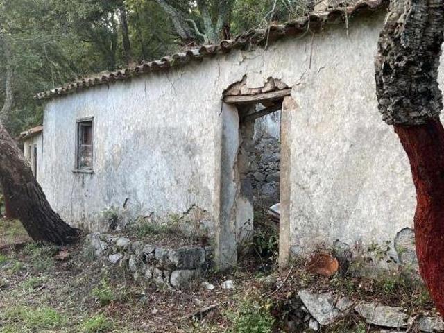 Fincas Rusticas 2 quarto, Monchique Algarve DS97441556