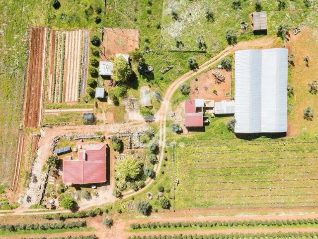 Fincas Rusticas 2 quarto, Sousel Portalegre DS100307233